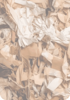 paper waste 1